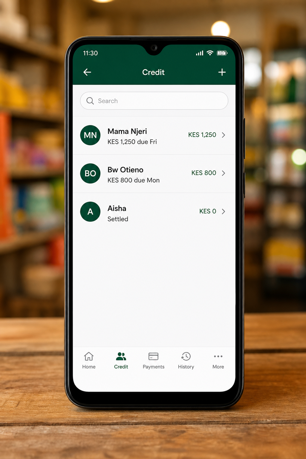 Credit ledger list on InuaBiz